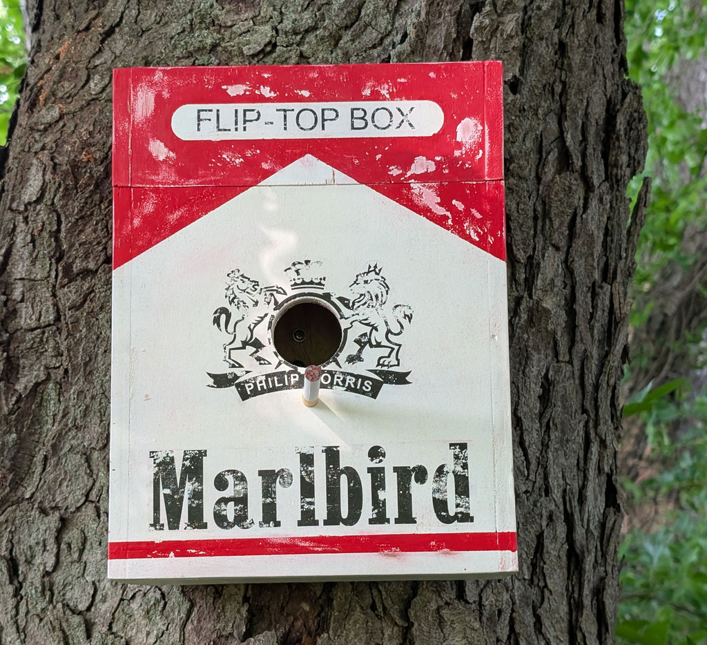 Flip top Cigarette box bird house