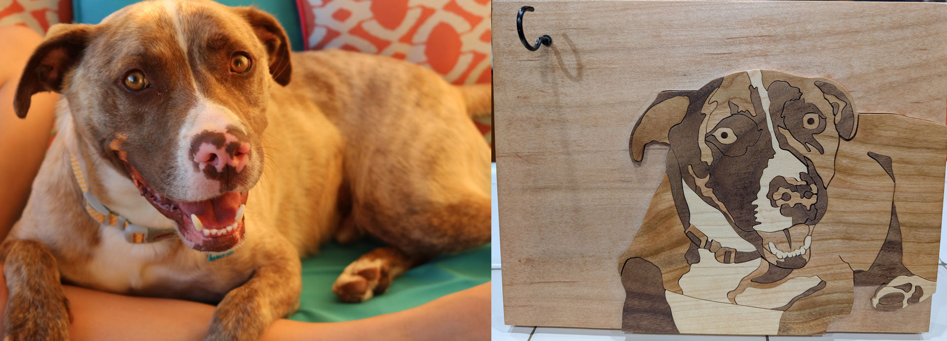 Unframed pet portrait